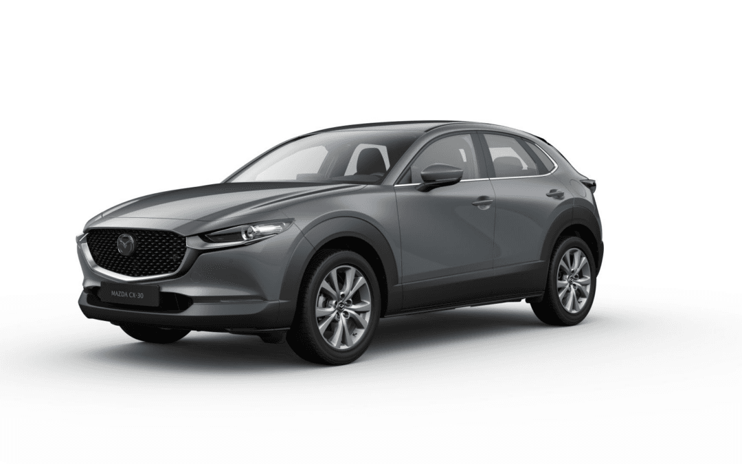 High Plus2.5 AWD